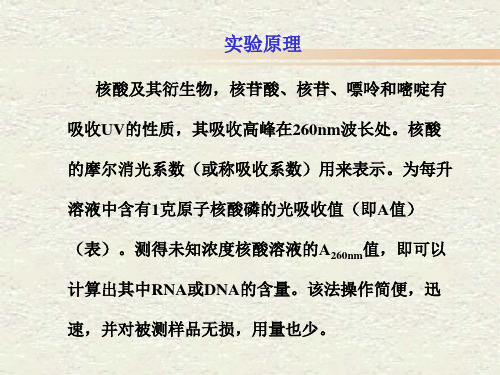 紫外吸收法测定核酸含量ppt课件