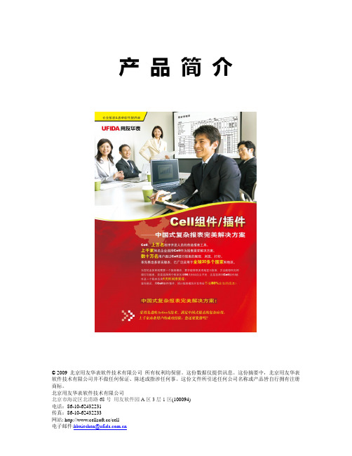 用友华表Cell报表开发工具控件要点简介