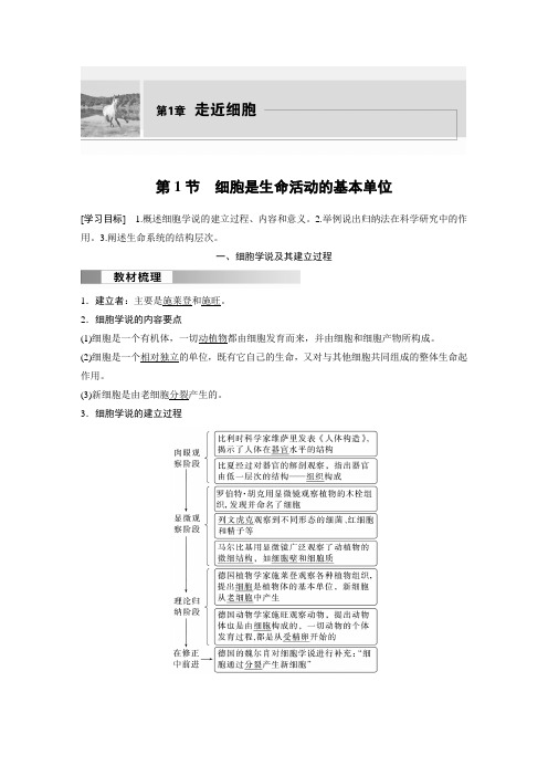 2024-2025学年高中生物新教材同步必修第一册第1章第1节 细胞是生命活动的基本单位