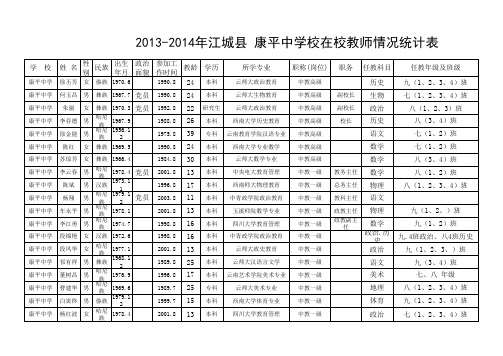 教师情况统计表