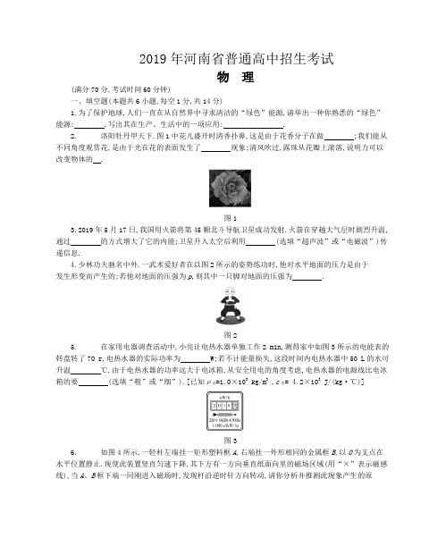 2019年河南省中考物理真题(试题+答案)