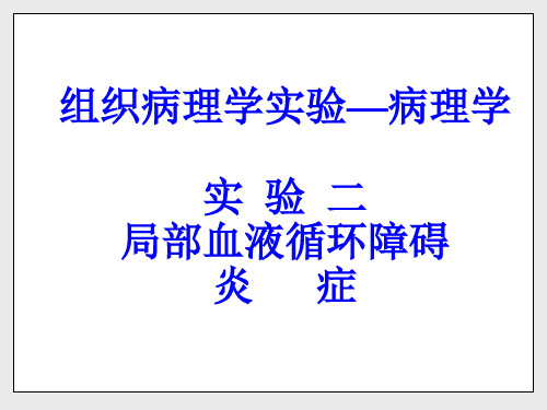 病理实验.ppt