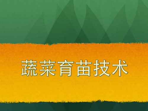 蔬菜育苗技术