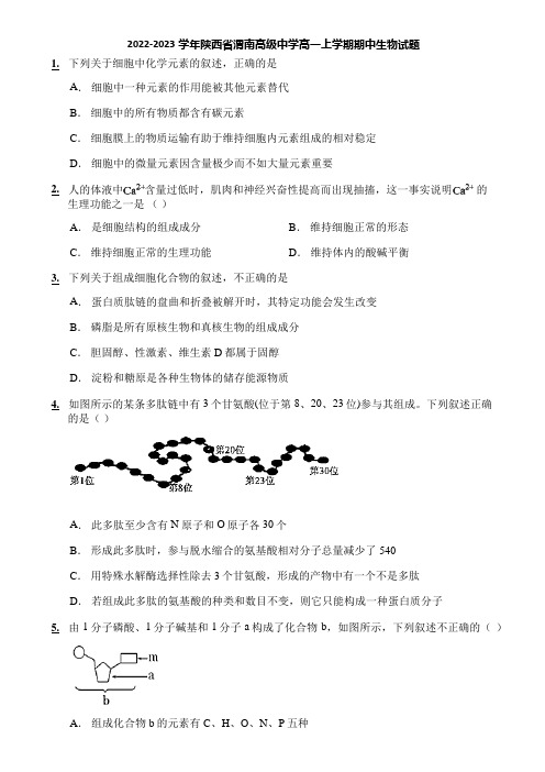 2022-2023学年陕西省渭南高级中学高一上学期期中生物试题