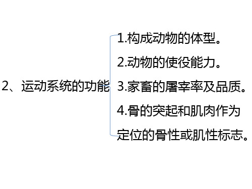 骨的一般特性课件.pptx