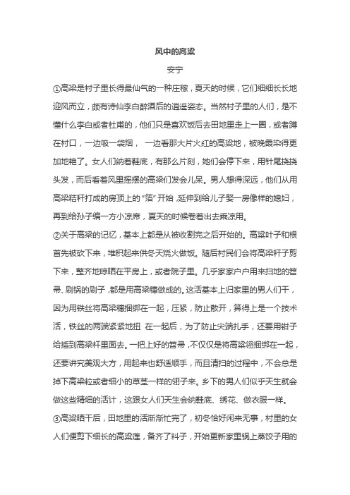 安宁《风中的高粱》阅读答案及解析