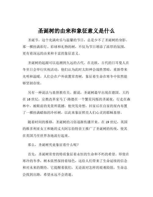 圣诞树的由来和象征意义是什么