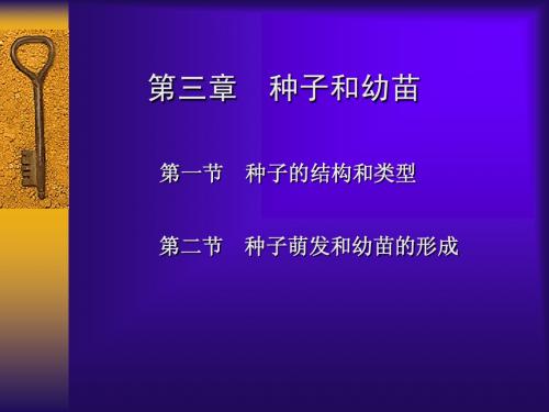 3.1种子的结构和类型