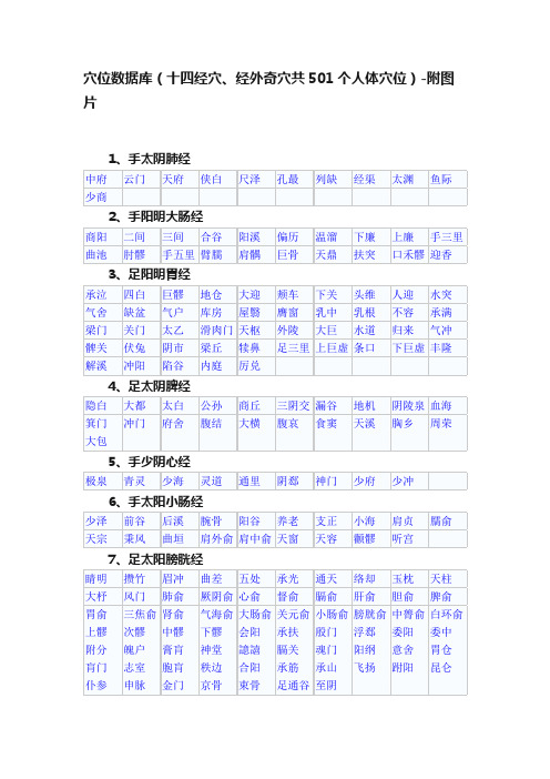 穴位数据库（十四经穴、经外奇穴共501个人体穴位）-附图片
