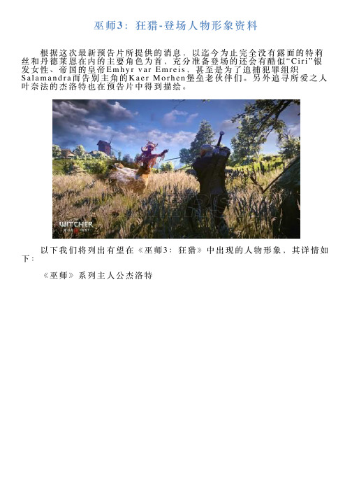 巫师3：狂猎登场人物形象资料