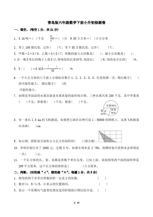 青岛版六年级数学下册小升初真卷  附答案 (4)