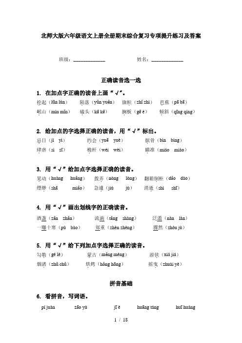 北师大版六年级语文上册全册期末综合复习专项提升练习及答案