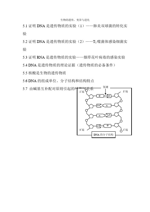 生物的遗传变异与进化上部分