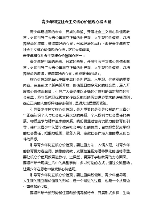 青少年树立社会主义核心价值观心得6篇