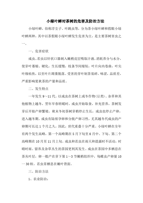 小绿叶蝉对茶树的危害及防治方法