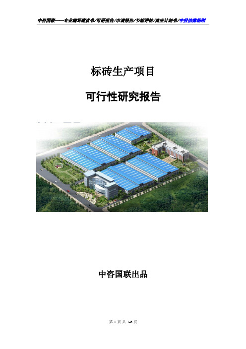 标砖生产项目可行性研究报告申请报告模板