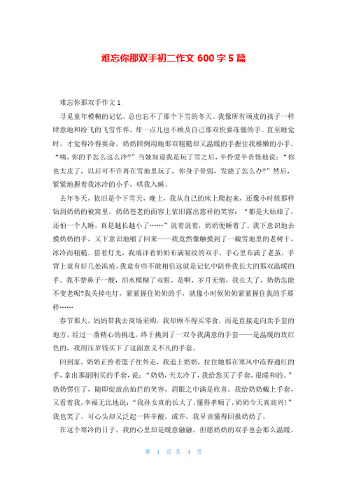 难忘你那双手初二作文600字5篇