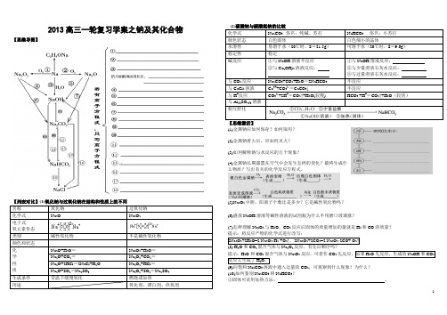 2013高三一轮复习学案之钠及其化合物