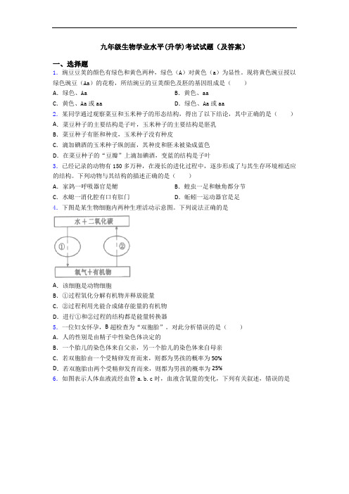 九年级生物学业水平(升学)考试试题(及答案)