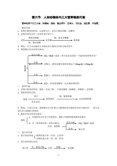 第六节  人和动物体内三大营养物质代谢