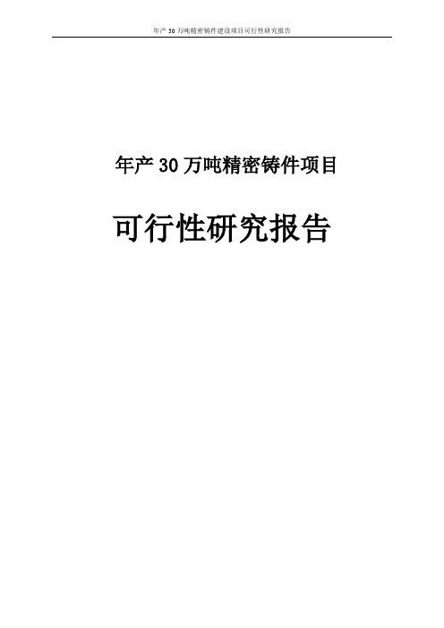 年产30万吨精密铸件建设项目可行性研究报告