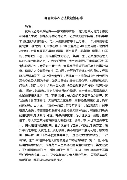 寒暑铁布衣功法及经验心得