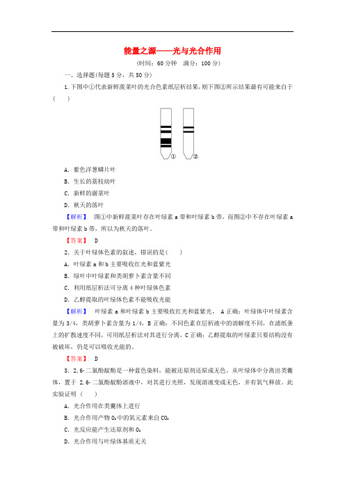 高考生物总复习 能量之源-光与光合作用试题含解析