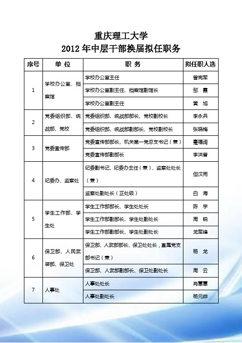 (重庆理工大学)2012新提任干部情况简介-(2)