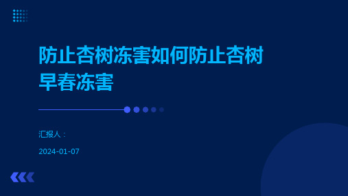 防止杏树冻害如何防止杏树早春冻害