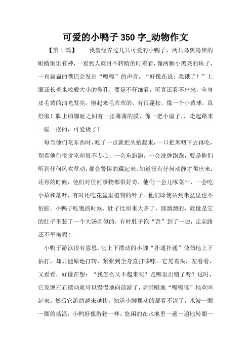 可爱的小鸭子350字_动物作文