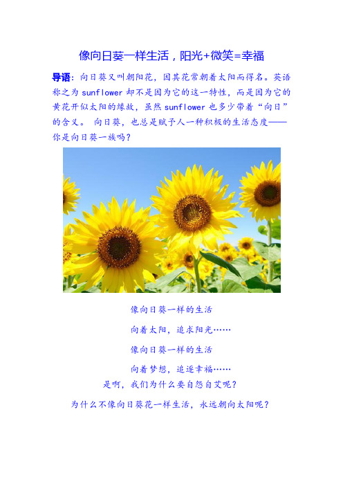 像向日葵一样生活