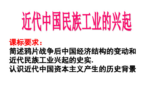 人民版高中历史必修二第二专题第一节近代民族工业的兴起