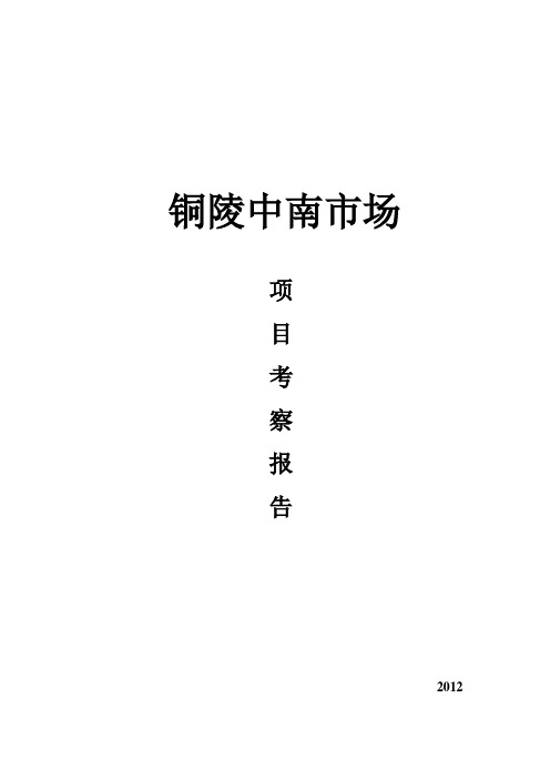 自-铜陵中南市场项目考察报告