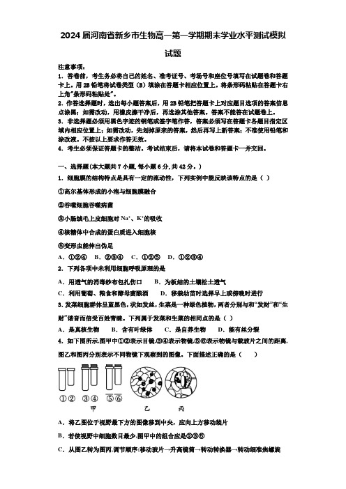 2024届河南省新乡市生物高一第一学期期末学业水平测试模拟试题含解析