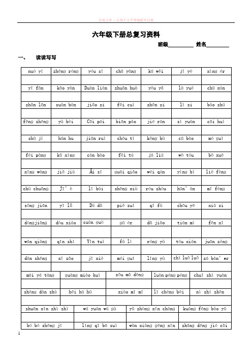 六年级下册总复习资料(14张)