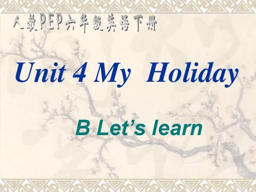 人教PEP英语六下Unit4MyHoliday课件27