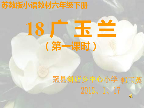 苏教版六年级下册《广玉兰》PPT课件1
