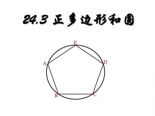 24.3《正多边形和圆》课件