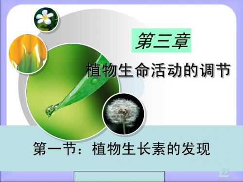 必修3第三章 第一节 植物生长素的发现--人教版[整理]