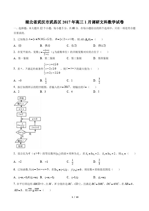 湖北省武汉市武昌区2017年高三1月调研文科数学试卷(附答案与解析)