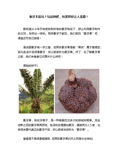 象牙不能玩？玩这种吧，包浆照样让人羡慕！