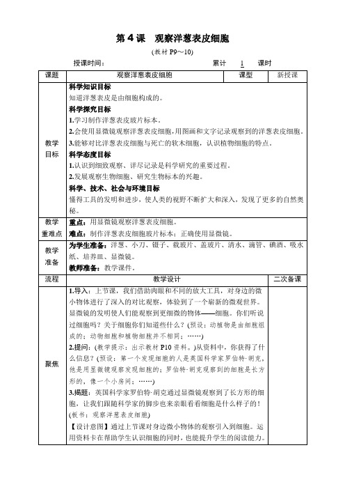 科教版六年级科学上册第一单元第4课 观察洋葱表皮细胞