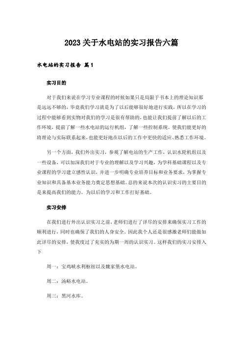 2023关于水电站的实习报告六篇