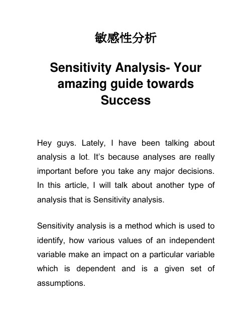 敏感性分析 Sensitivity Analysis 英语作文论文写作技巧