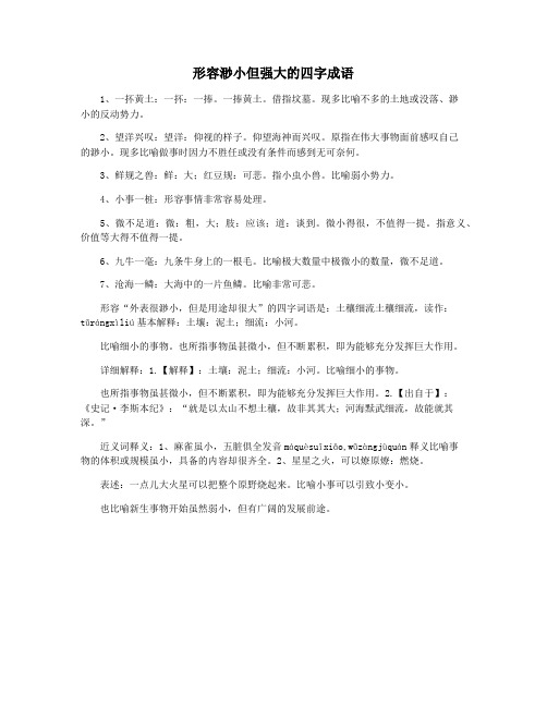 形容渺小但强大的四字成语