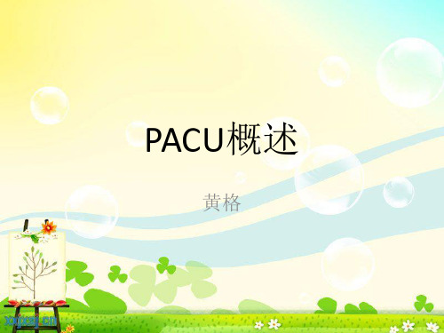 PACU技术概述