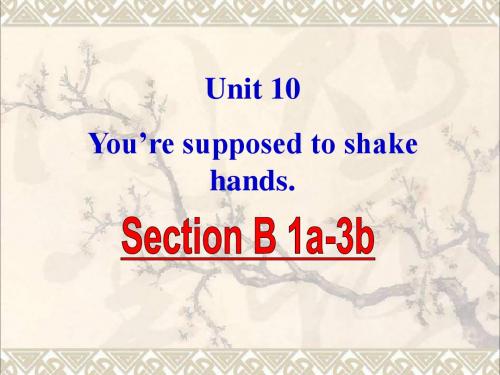 九年级英语全册Unit10You’resupposedtoshakehandsSectionB课件(新)人教新目标