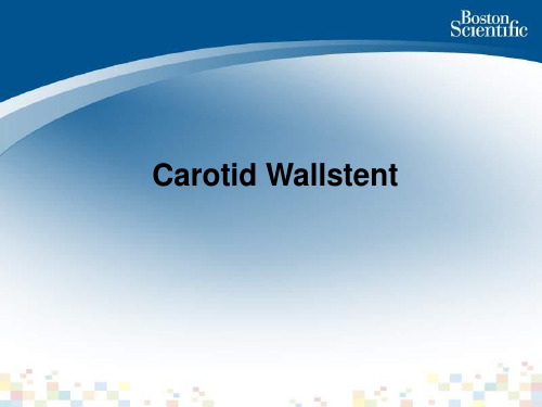 劲动脉支架Carotid wallstent课件