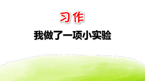 部编版三年级下册语文《我做了一项小实验》说课教学课件