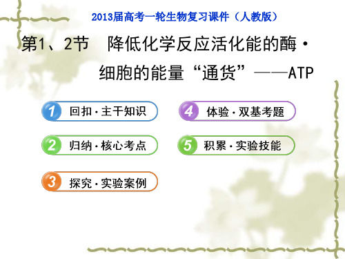 2013届高考一轮生物复习课件:第1、2节 降低化学反应活化能的酶·细胞的能量“通货”——ATP (人教版)